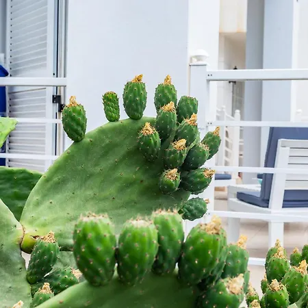 Appartement Bright 5 Minutes Walking From The Beach